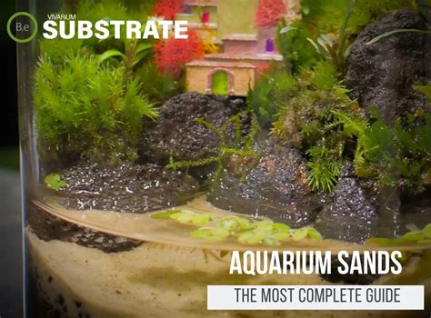 Image result for Fish Tank Substrate