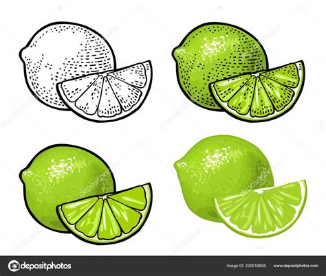 Lime Clipart Black And White at Ella Kendall blog