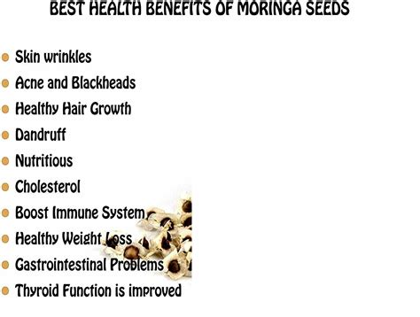 1000 Organic Moringa Seeds | Moringa Oleifera | Dried, Non GMO, Edible,Planting | eBay