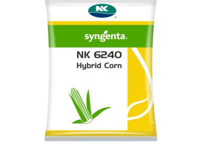 NK 6240 - Variety Corn | Syngenta