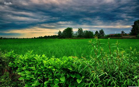 Wallpaper Computer 的图像结果