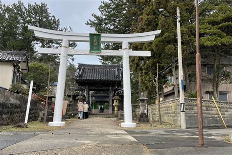Image result for Single Level AO2