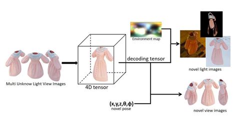 Tensor Field Applications 的图像结果