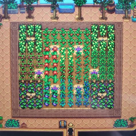 Sprinkler Pattern Stardew Valley Greenhouse Layout at Harrison Grove blog