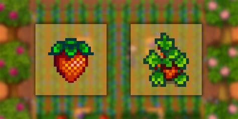 Stardew Valley Greenhouse Strawberries at Sophia Wiseman blog