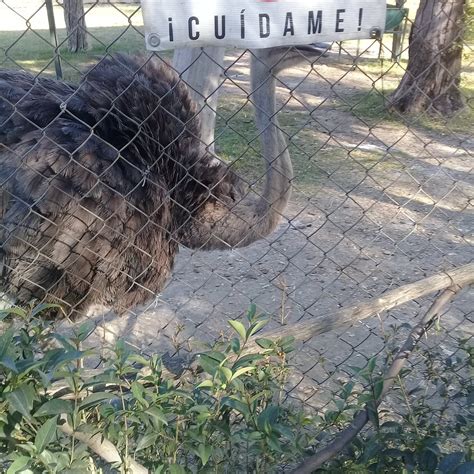 Zooira (Irapuato) - 2022 What to Know BEFORE You Go (with Photos)