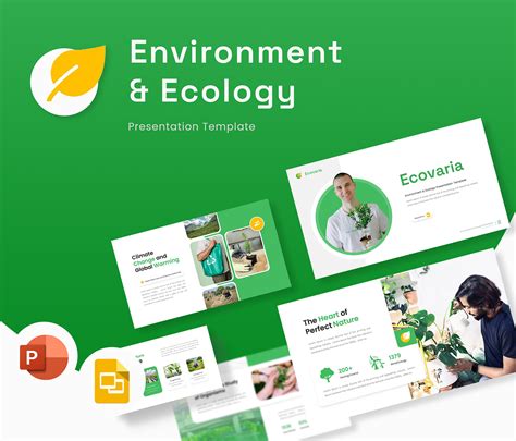 Environment Template 的图像结果