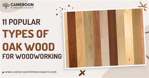 11 Popular Types of Oak Wood For Woodworking
