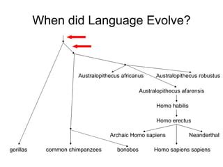 First Human Language 的图像结果
