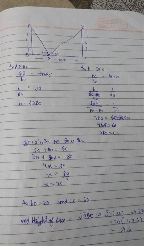 The two palm trees are of equal heights and are standing opposite to ...