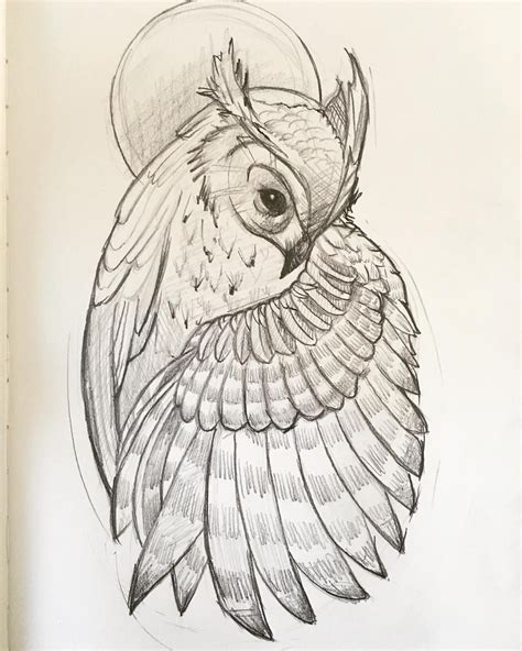 Captivating Owl Sketch