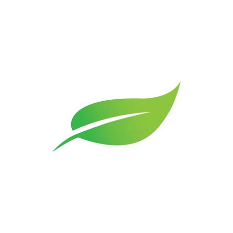 Feuille - Vecteurs : téléchargez gratuitement des vecteurs de haute ...