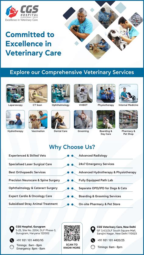 CSR Updates by DLF Foundation | Program Highlights