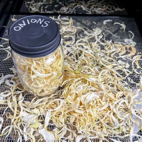 How To Store Cut Onions | Storables