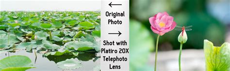 Platiro 20X Telephoto Zoom Lens for Mobile Phone and Tablet No ...