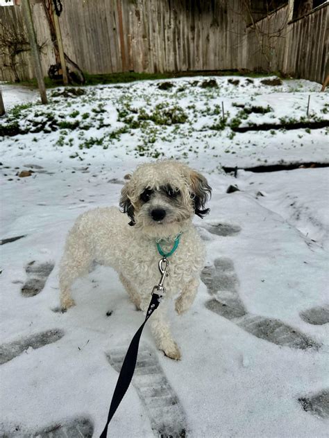 Skal – Motley Zoo Animal Rescue