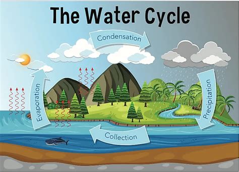 How Do Rivers Form 的图像结果