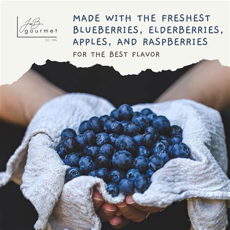 JoeBGourmet JoeB Gourmet BEAR Jam mixed fruit jam jelly with India | Ubuy