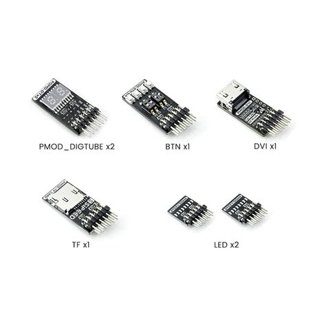 Sipeed Tang FPGA PMOD Basic Kit Module– Robotronic