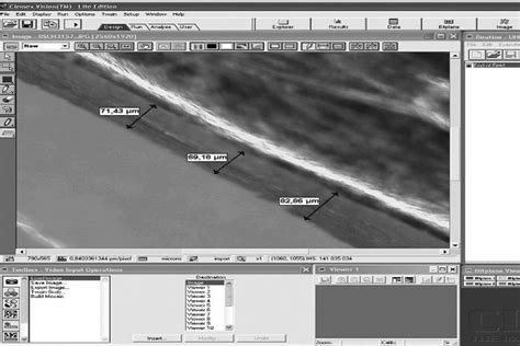 Department Of Oral Pathology And Microbiology - Facilities | M. S ...