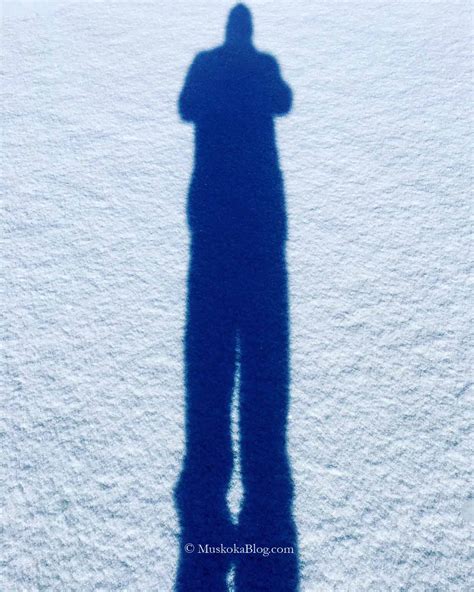 Image result for Shadow Tutorial