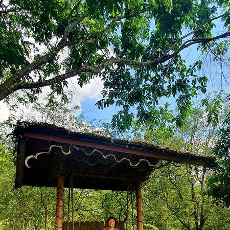 ADLAWON VACATION FARM (Cebu City) - Campground Reviews & Photos ...