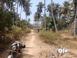 18 Feet in Tamil Nadu, Free classifieds in Tamil Nadu | OLX