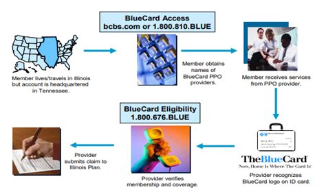 BlueCard Modernization Program 的图像结果