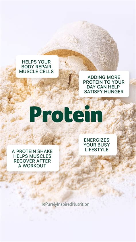 Plant vs. Whey Protein: What's the Best Pick? - Purely Inspired | Whey protein, Plant protein ...