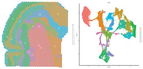 Image result for Spatial Transcriptomics Methods