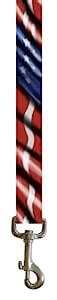 Perri's Leather Leash with Hi-res Imaging, Full USA Flag, 4-Feet ...