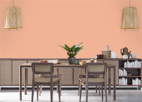 Clam Shell | JSW Paints