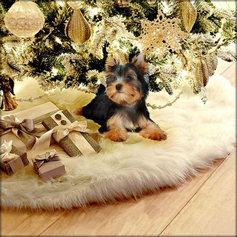 Buy Fur Accents Round White Shag Christmas Tree Skirt, Plush Soft Faux ...