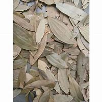 Image result for Dried Bay Leaf