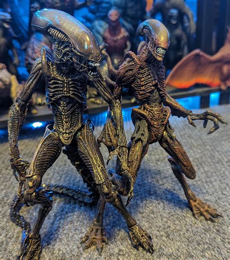 Image result for Alien Battle Macfaren