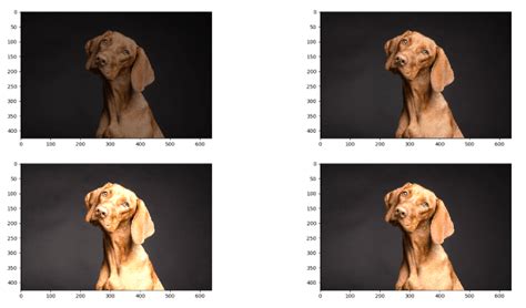 Image result for Data Augmentation Tensorflow