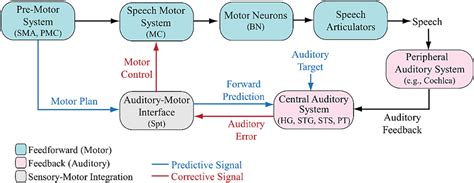 Process Models of the Auditory System 的图像结果