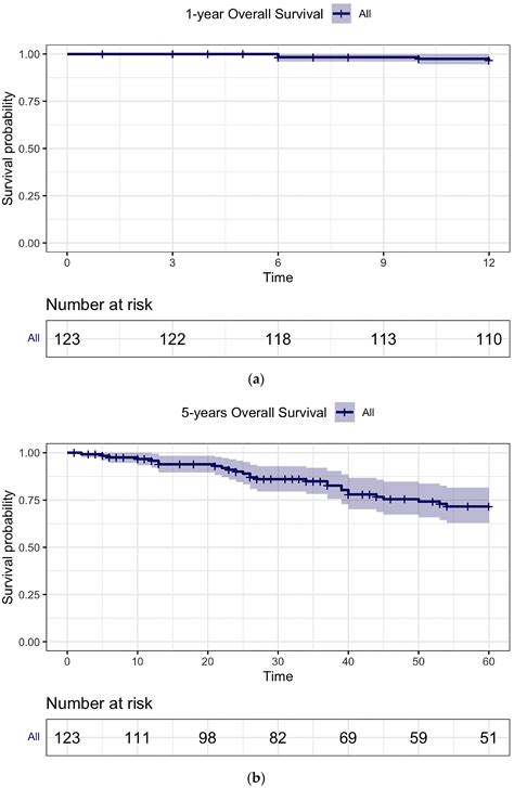 Safety and Efficacy of TKIs in very Elderly Patients (≥75 Years) with ...