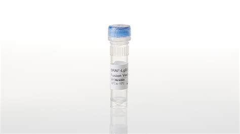 NanoBRET® TE Intracellular RAF Dimer Assays