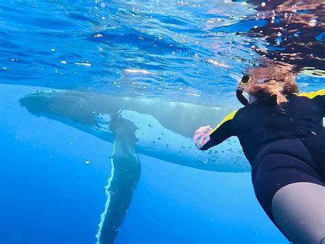 EXPLORE NIUE ISLAND TOUR (Updated 2026) All You Need to Know BEFORE You ...