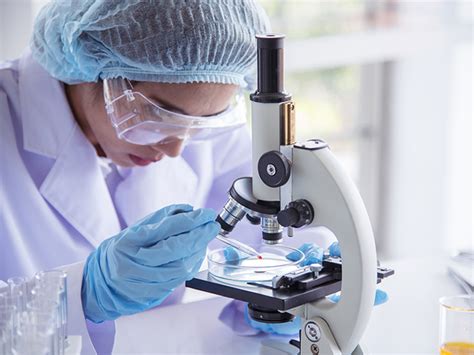 Image result for Biotechnology Degree Programs