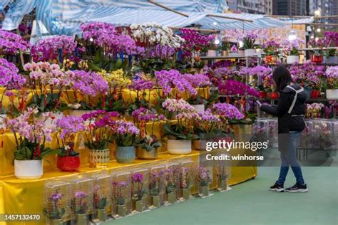 Visit the Flower Market in New Year 的图像结果