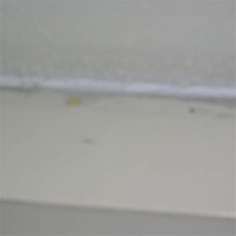 MOTEL 6 DALLAS FAIR PARK - Motel Reviews, Photos, Rate Comparison ...