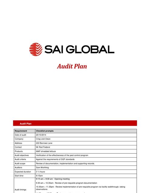Audit Plan Example 的图像结果