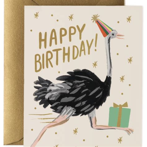 Ostrich Birthday Card