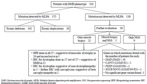 Molecular and Histopathological Characterization of Patients Presenting ...
