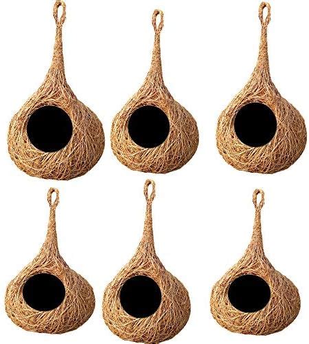 LIVEONCE Pack of 6 Safest Round Organic Bird nest Purely Handmadelove ...
