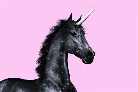 Are Unicorns In The Bible? | Think About Such Things