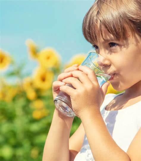 Labrador Source® Water Delivery | Primo Water