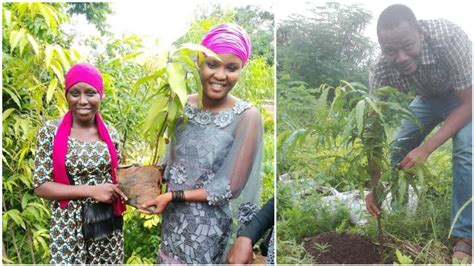 "Un anniversaire, un arbre" : Conakry se mobilise pour reboiser ses ...